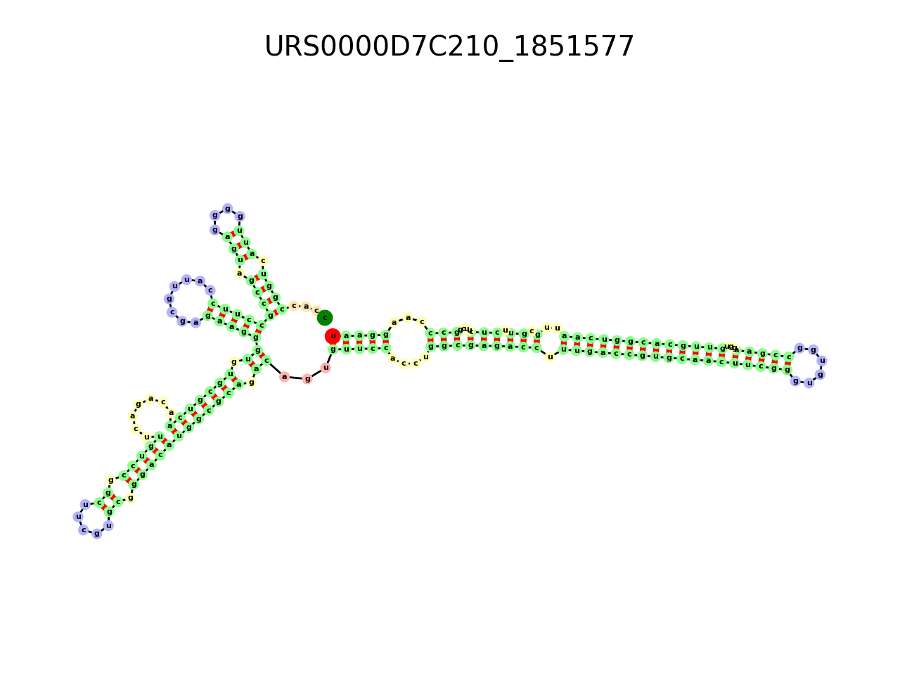 image of the secondary structure of the third Riboswitch match