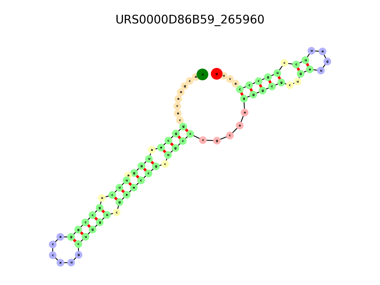 image of the secondary structure of the third Riboswitch match