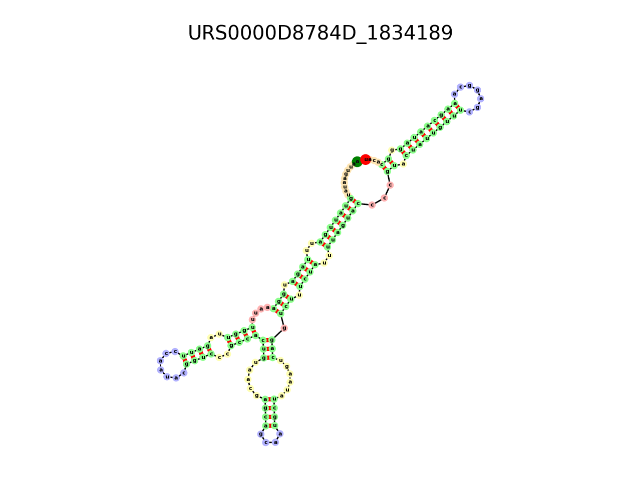 image of the secondary structure of the second Riboswitch match