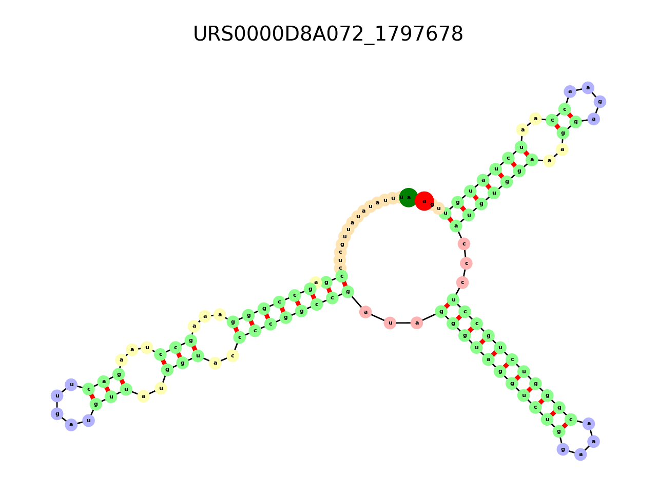 image of the secondary structure of the third Riboswitch match