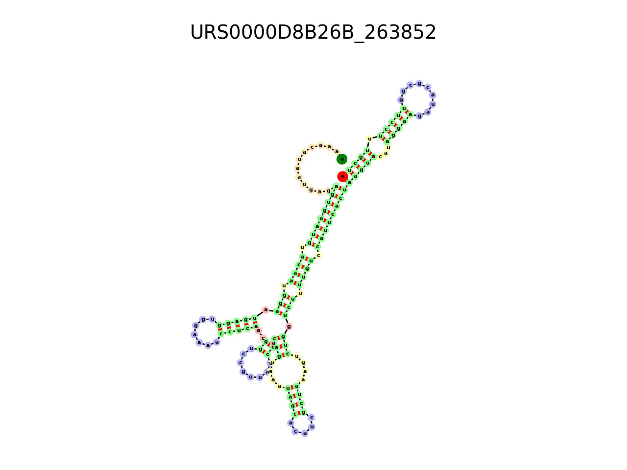 image of the secondary structure of the third Riboswitch match