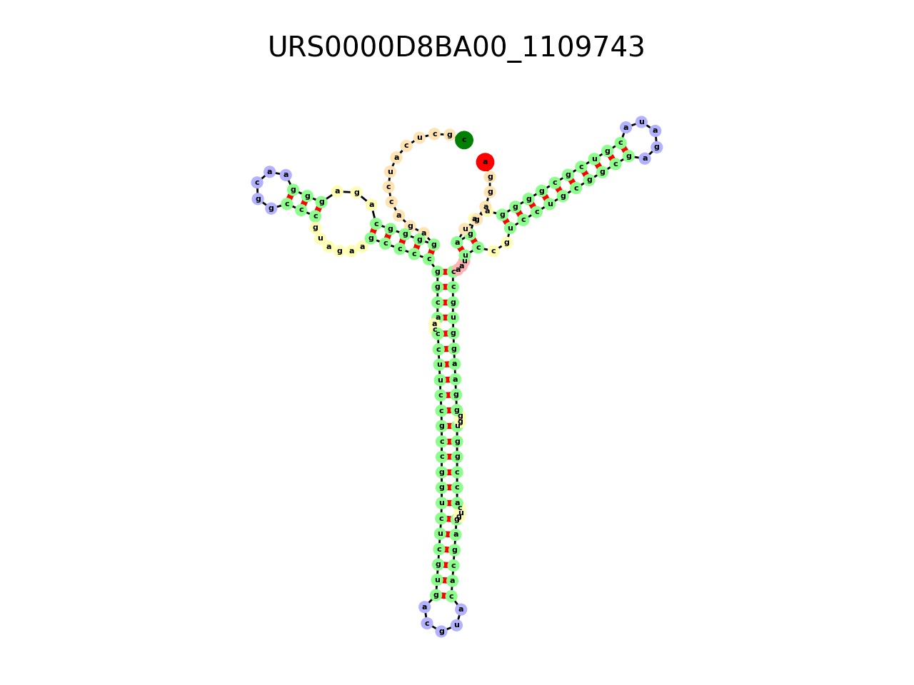 image of the secondary structure of the second Riboswitch match