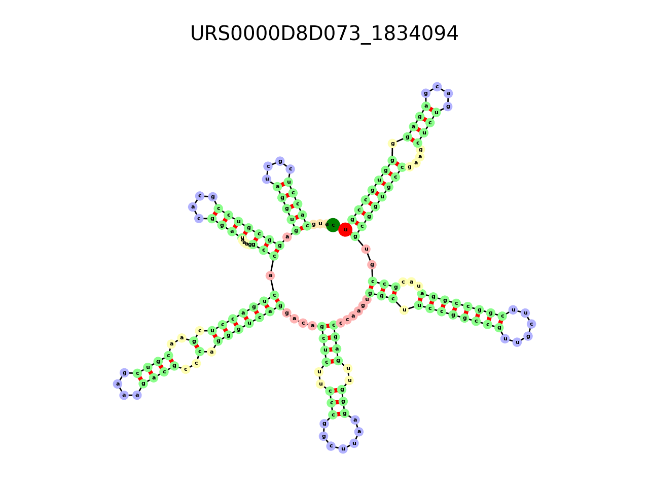 image of the secondary structure of the second Riboswitch match