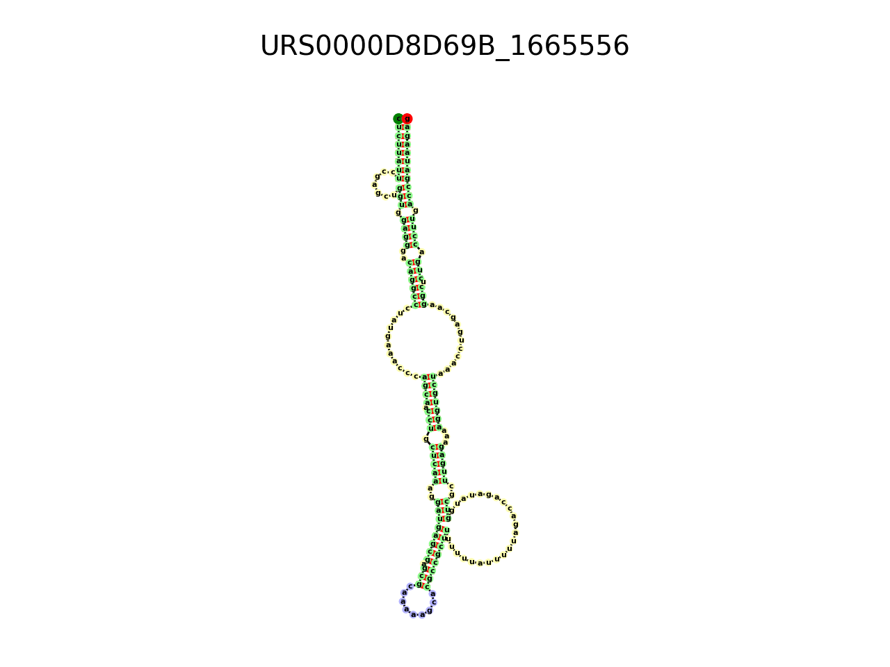 image of the secondary structure of the second Riboswitch match