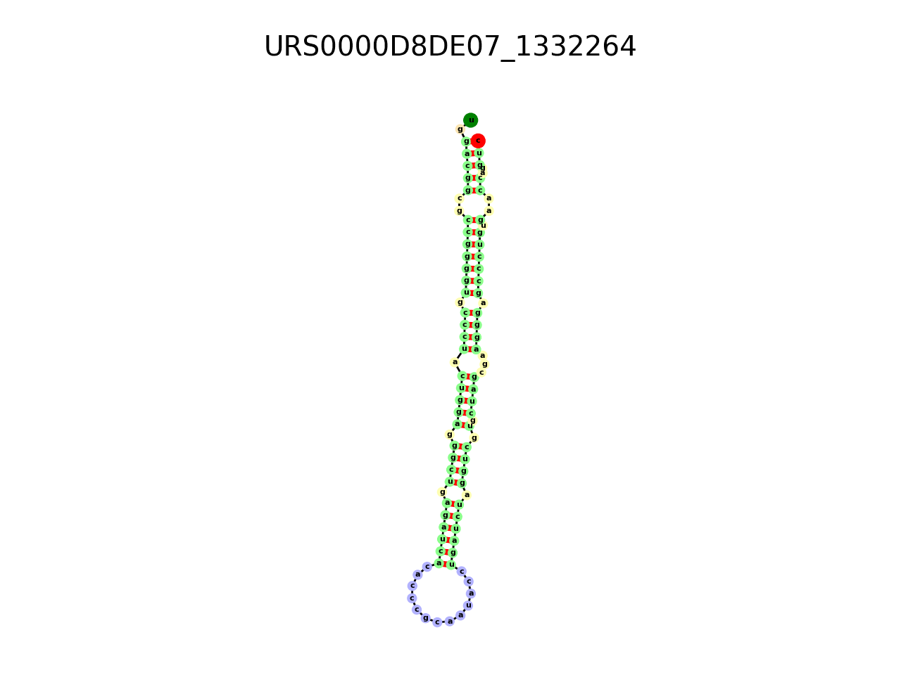 image of the secondary structure of the first Riboswitch match