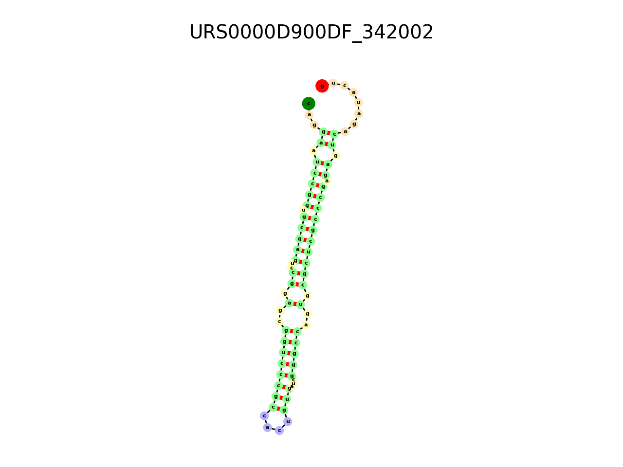 image of the secondary structure of the second Riboswitch match
