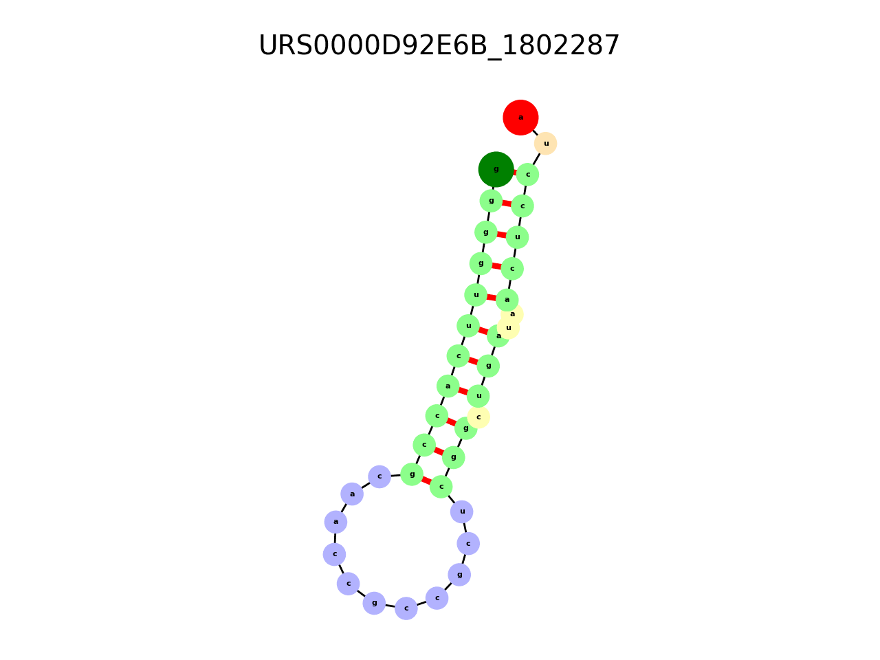 image of the secondary structure of the third Riboswitch match
