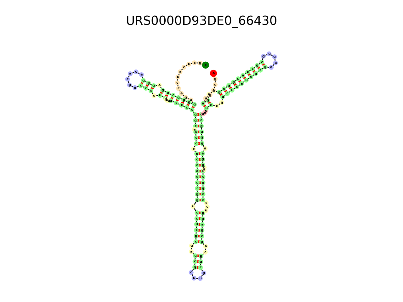 image of the secondary structure of the second Riboswitch match