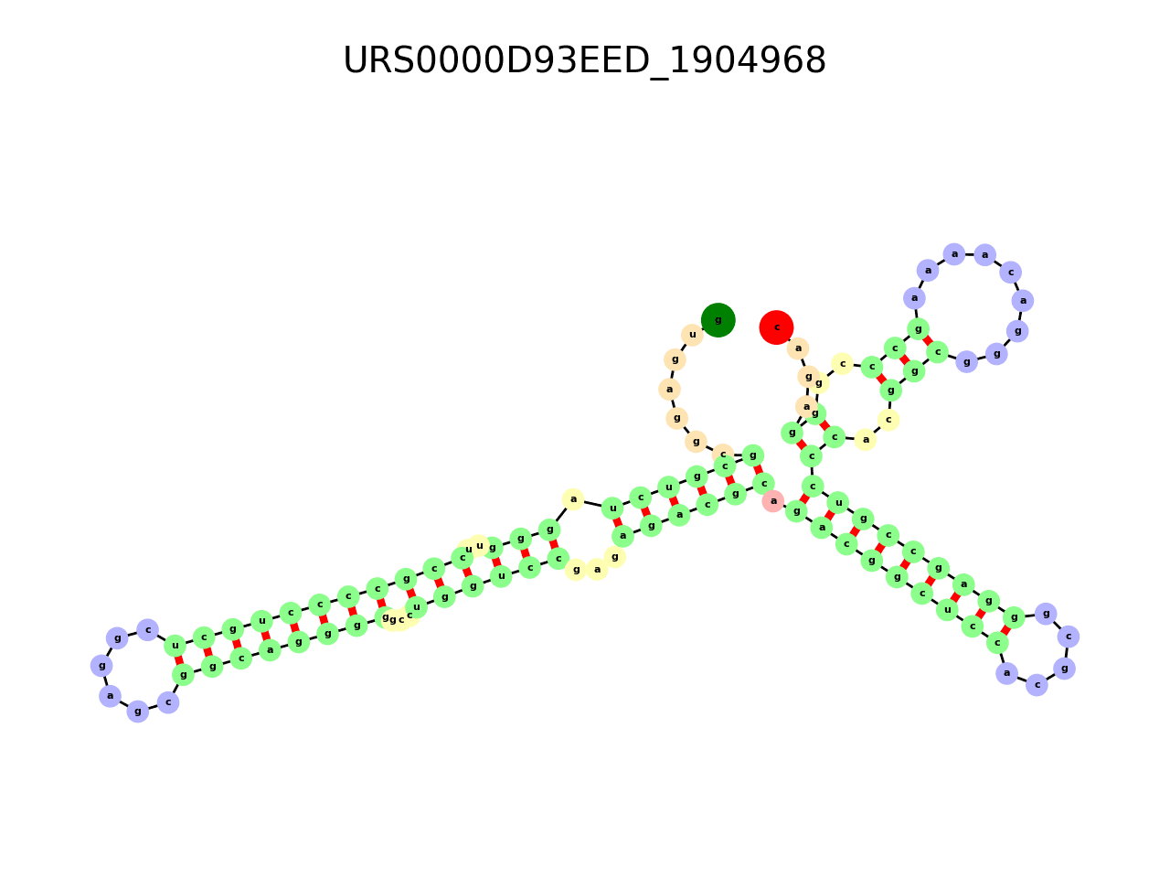 image of the secondary structure of the second Riboswitch match