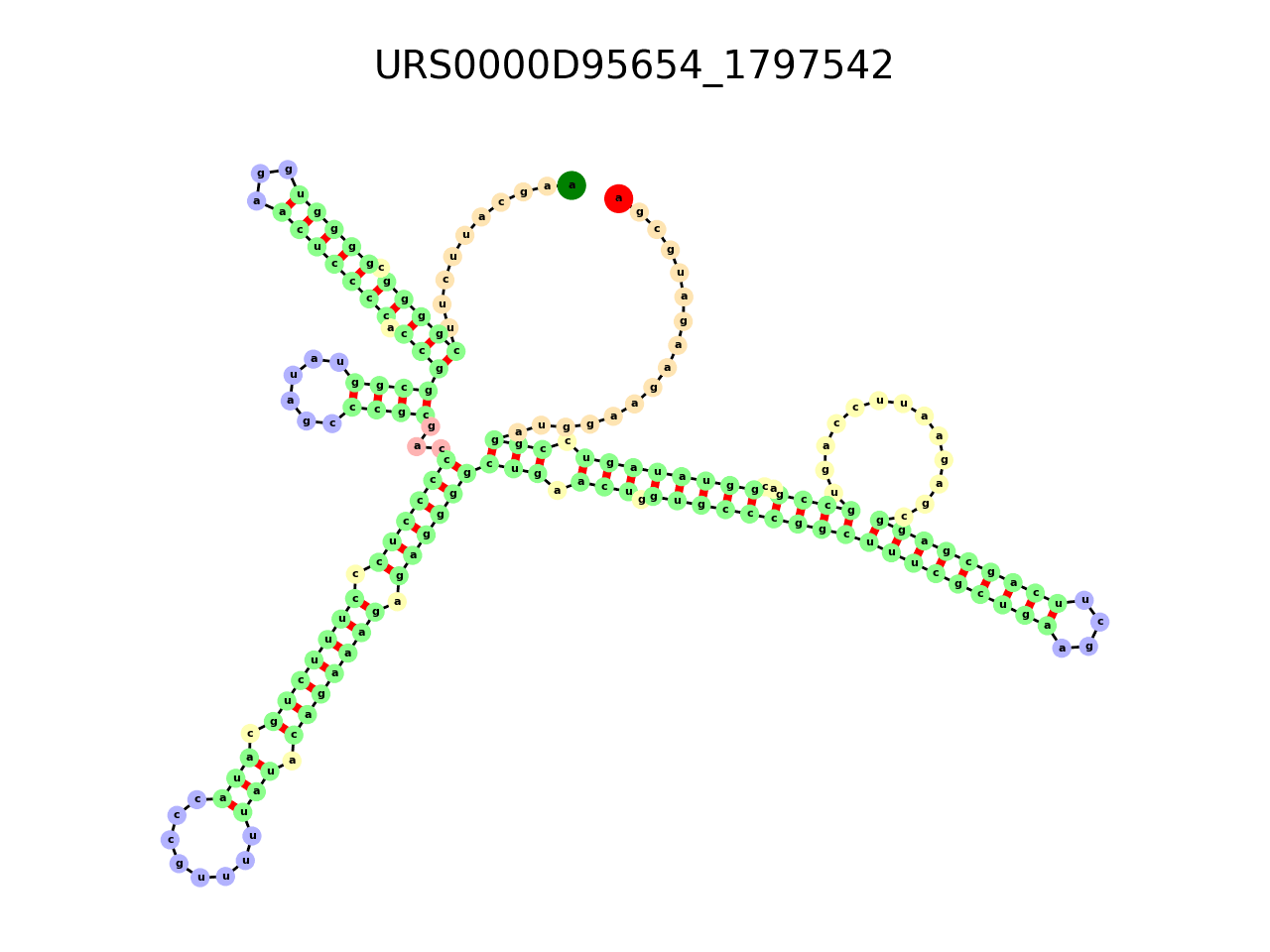 image of the secondary structure of the first Riboswitch match