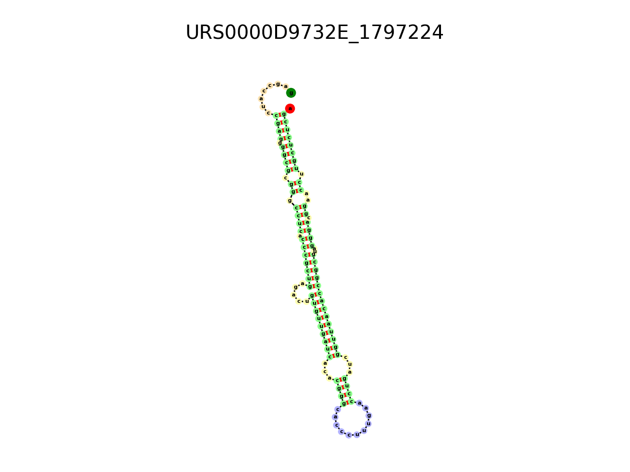 image of the secondary structure of the first Riboswitch match