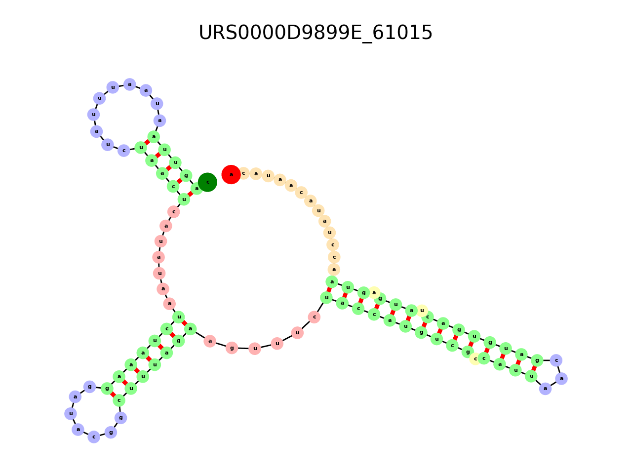 image of the secondary structure of the first Riboswitch match