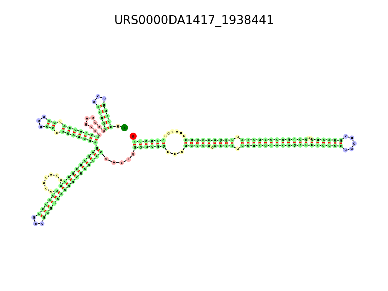 image of the secondary structure of the second Riboswitch match