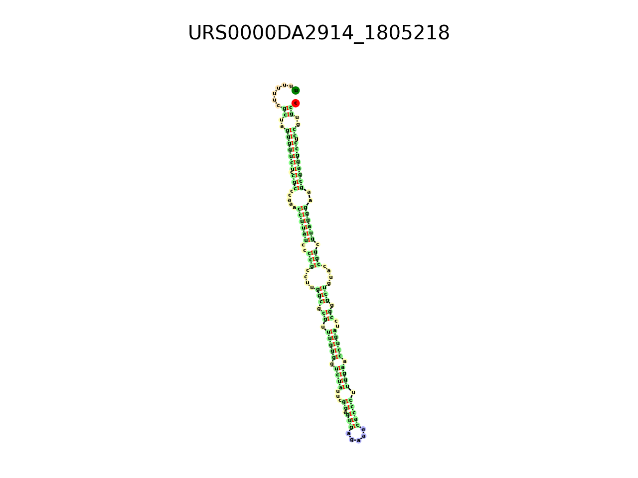 image of the secondary structure of the third Riboswitch match