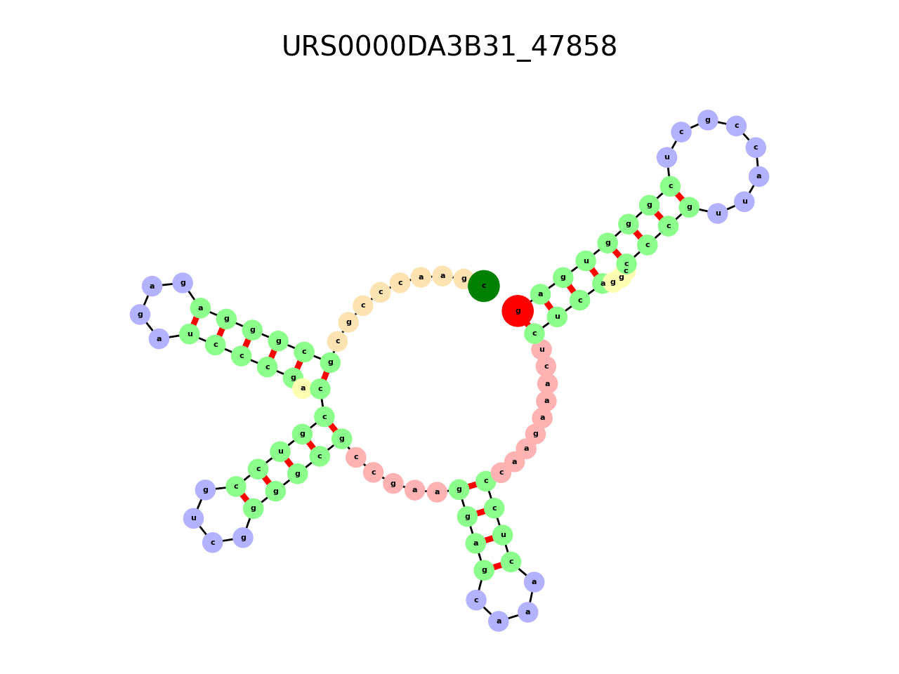 image of the secondary structure of the third Riboswitch match