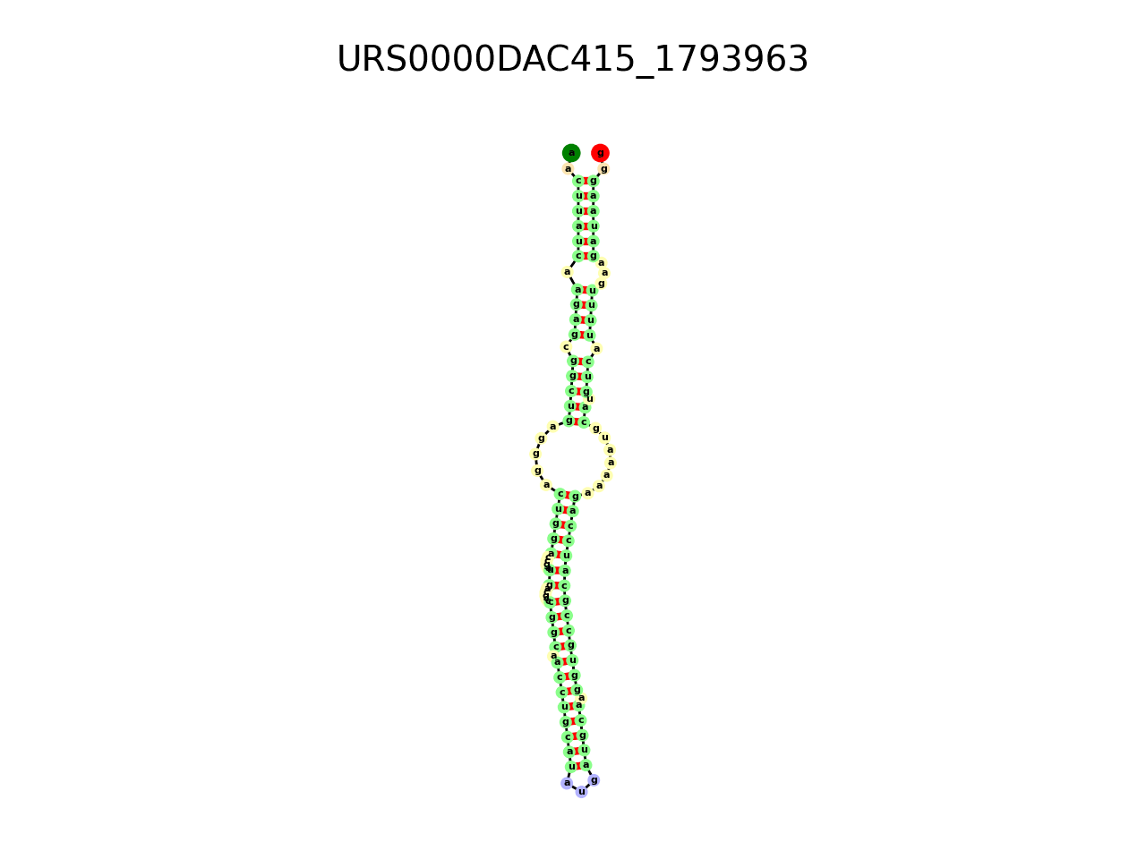 image of the secondary structure of the first Riboswitch match