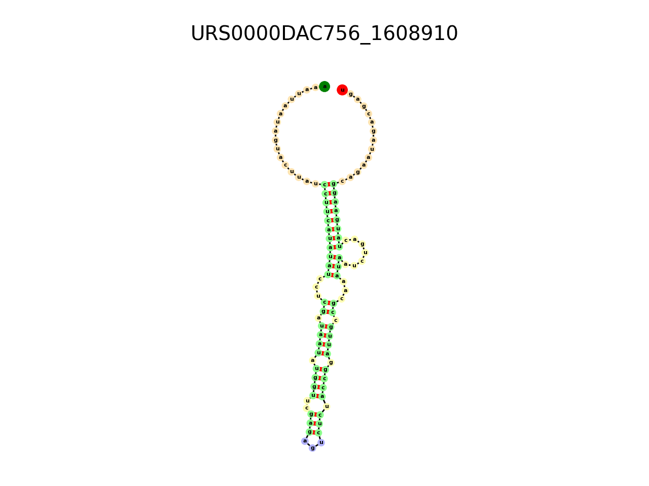 image of the secondary structure of the second Riboswitch match