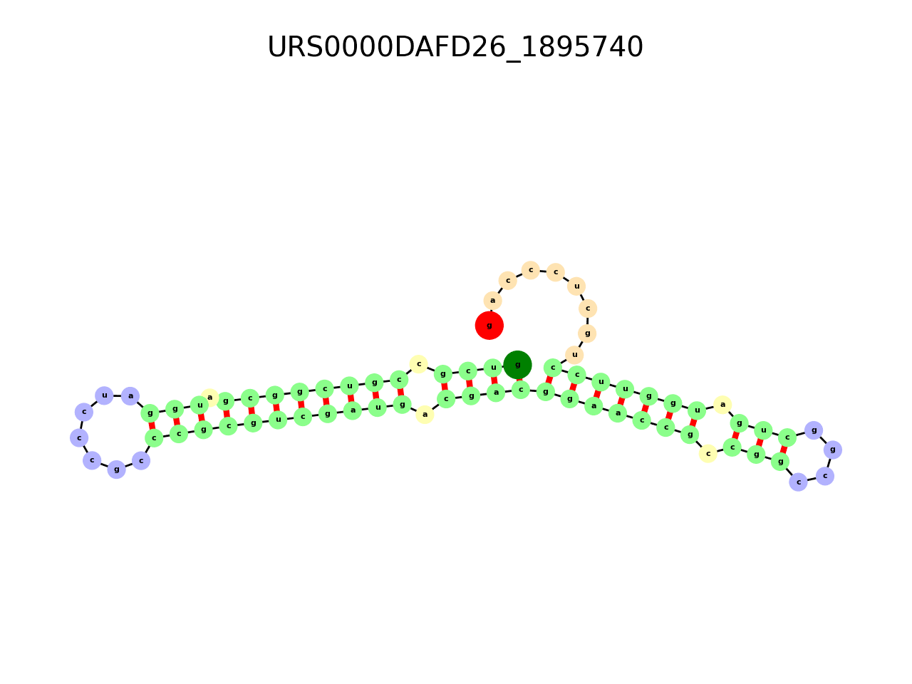 image of the secondary structure of the second Riboswitch match