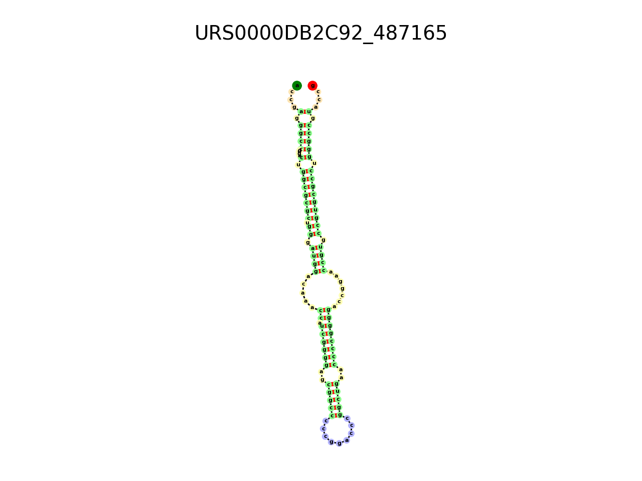 image of the secondary structure of the third Riboswitch match