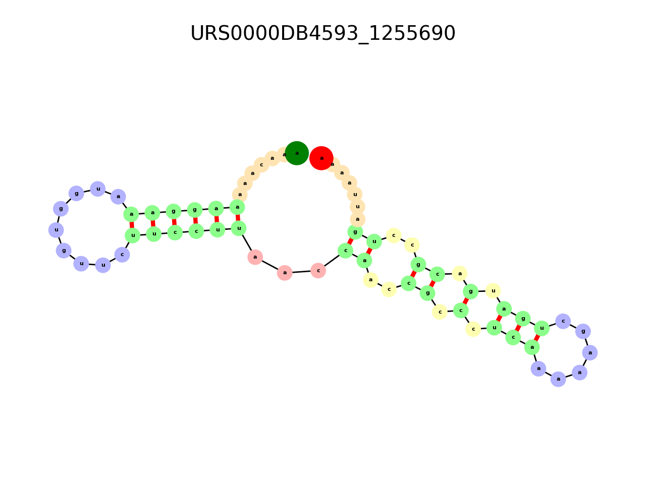 image of the secondary structure of the second Riboswitch match