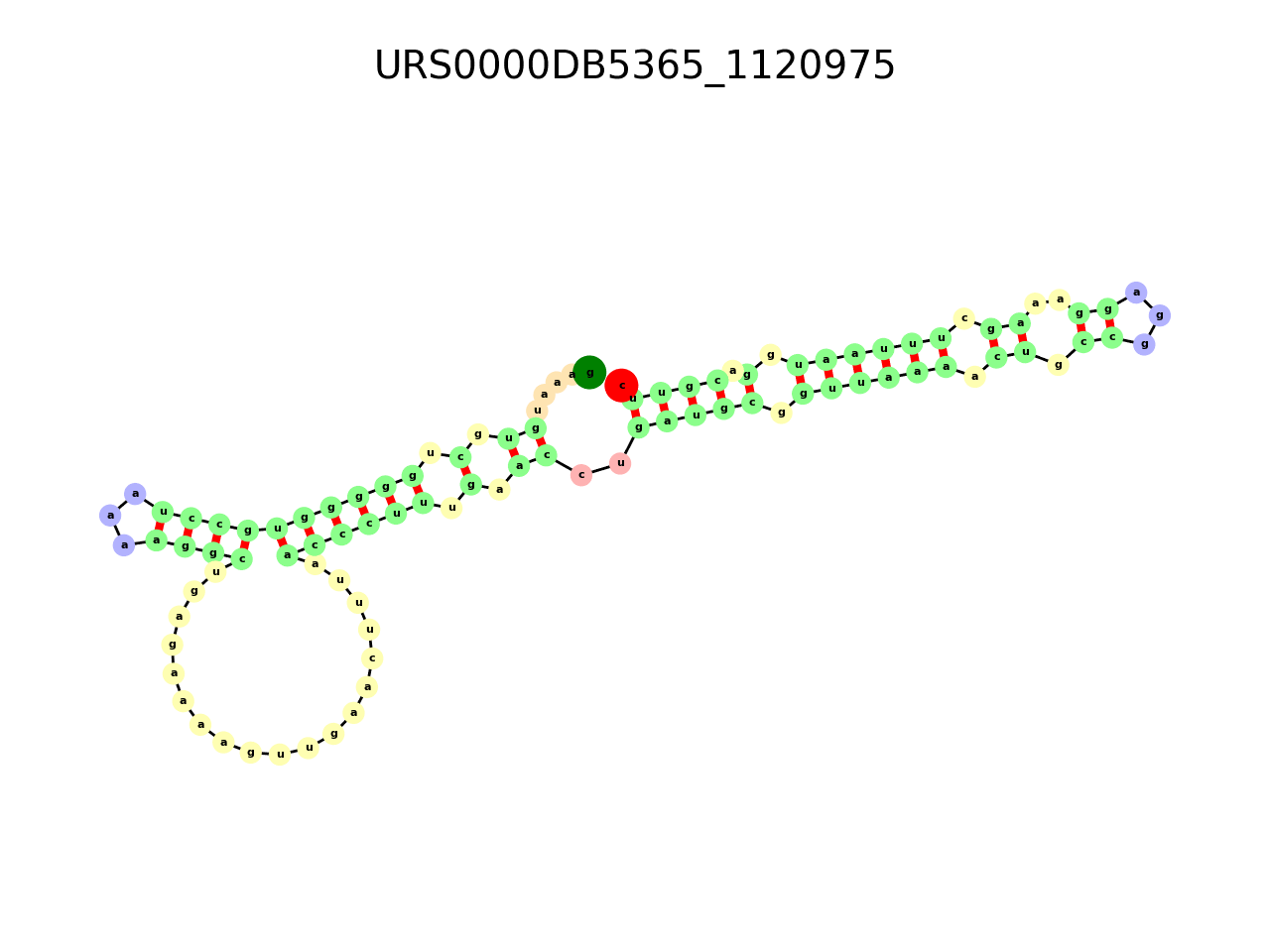 image of the secondary structure of the second Riboswitch match