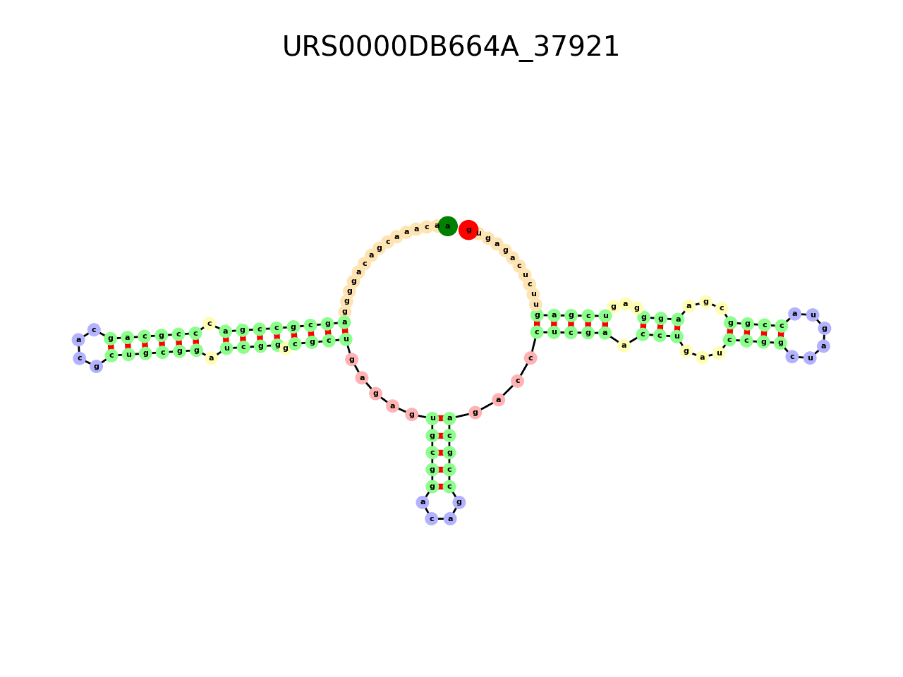 image of the secondary structure of the second Riboswitch match