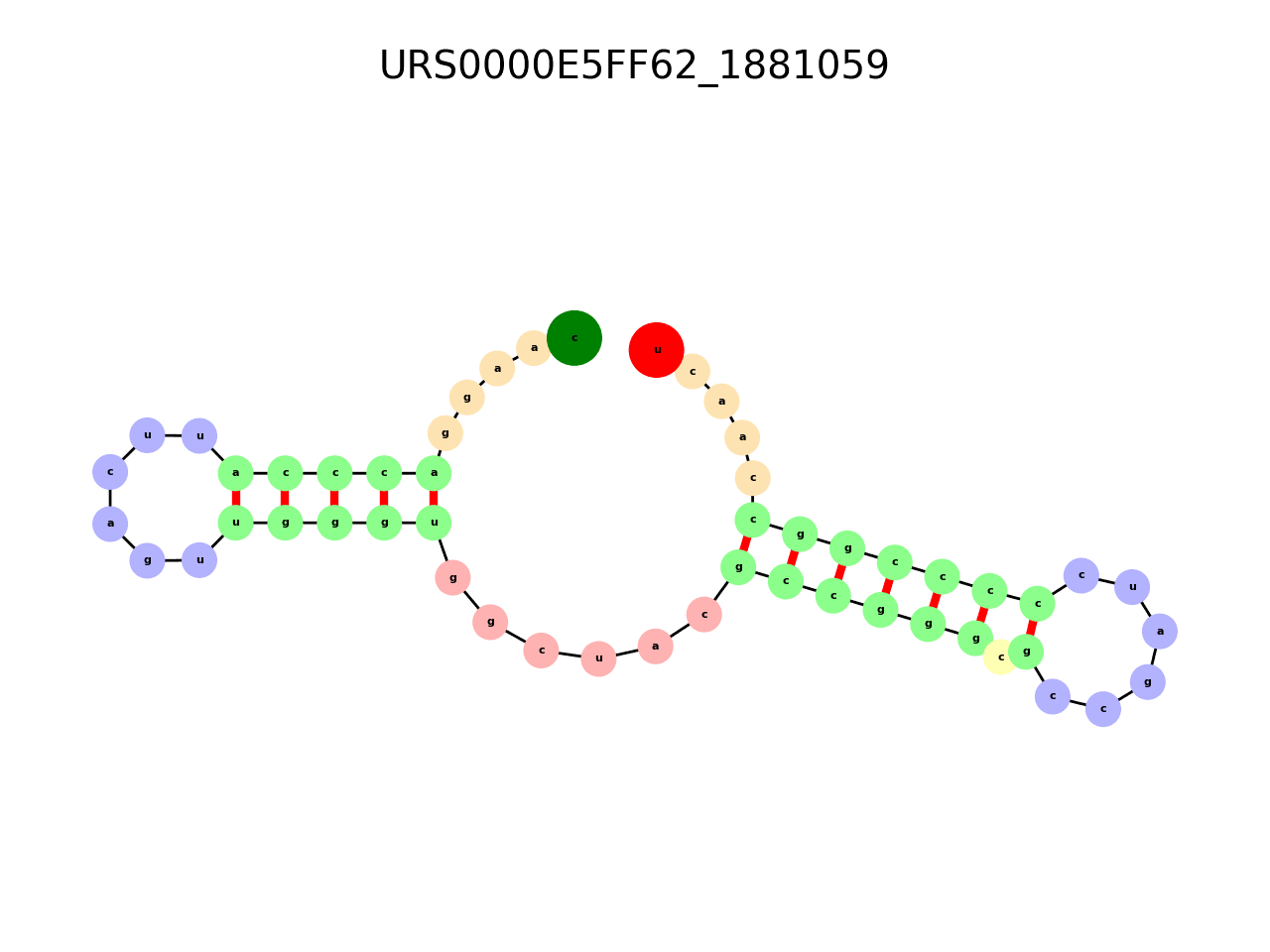 image of the secondary structure of the third Riboswitch match