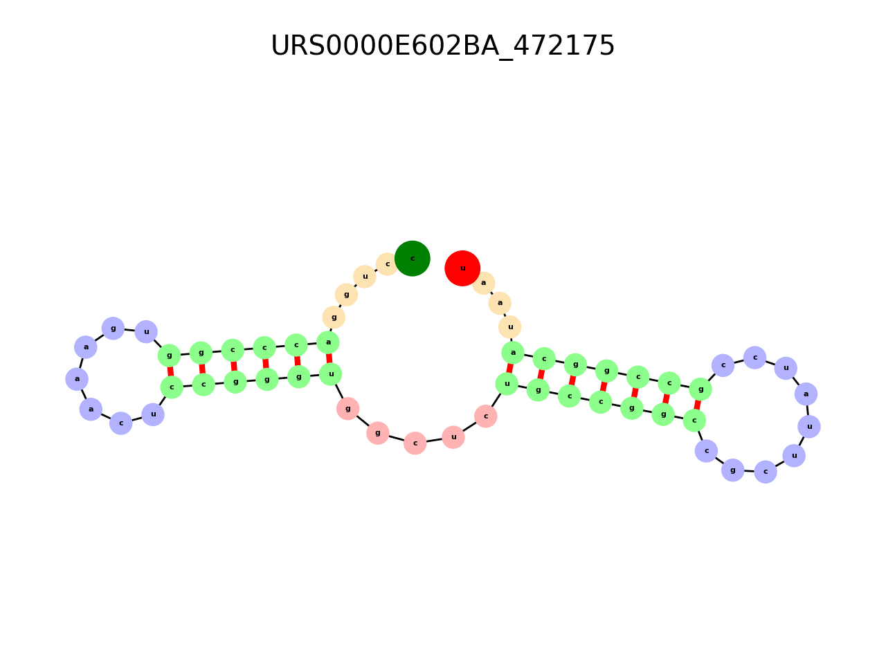 image of the secondary structure of the second Riboswitch match