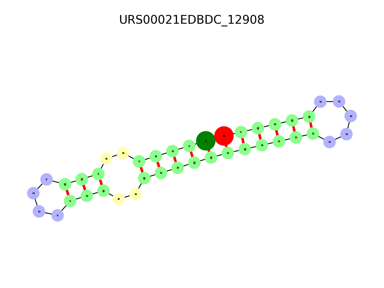 image of the secondary structure of the first Riboswitch match