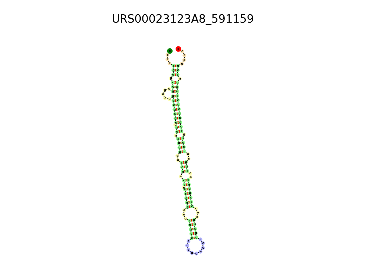 image of the secondary structure of the second Riboswitch match