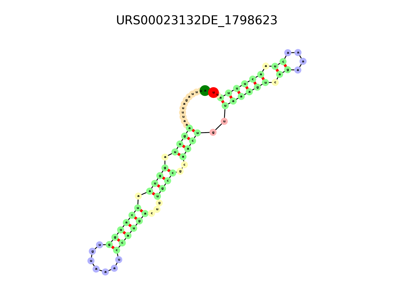 image of the secondary structure of the second Riboswitch match