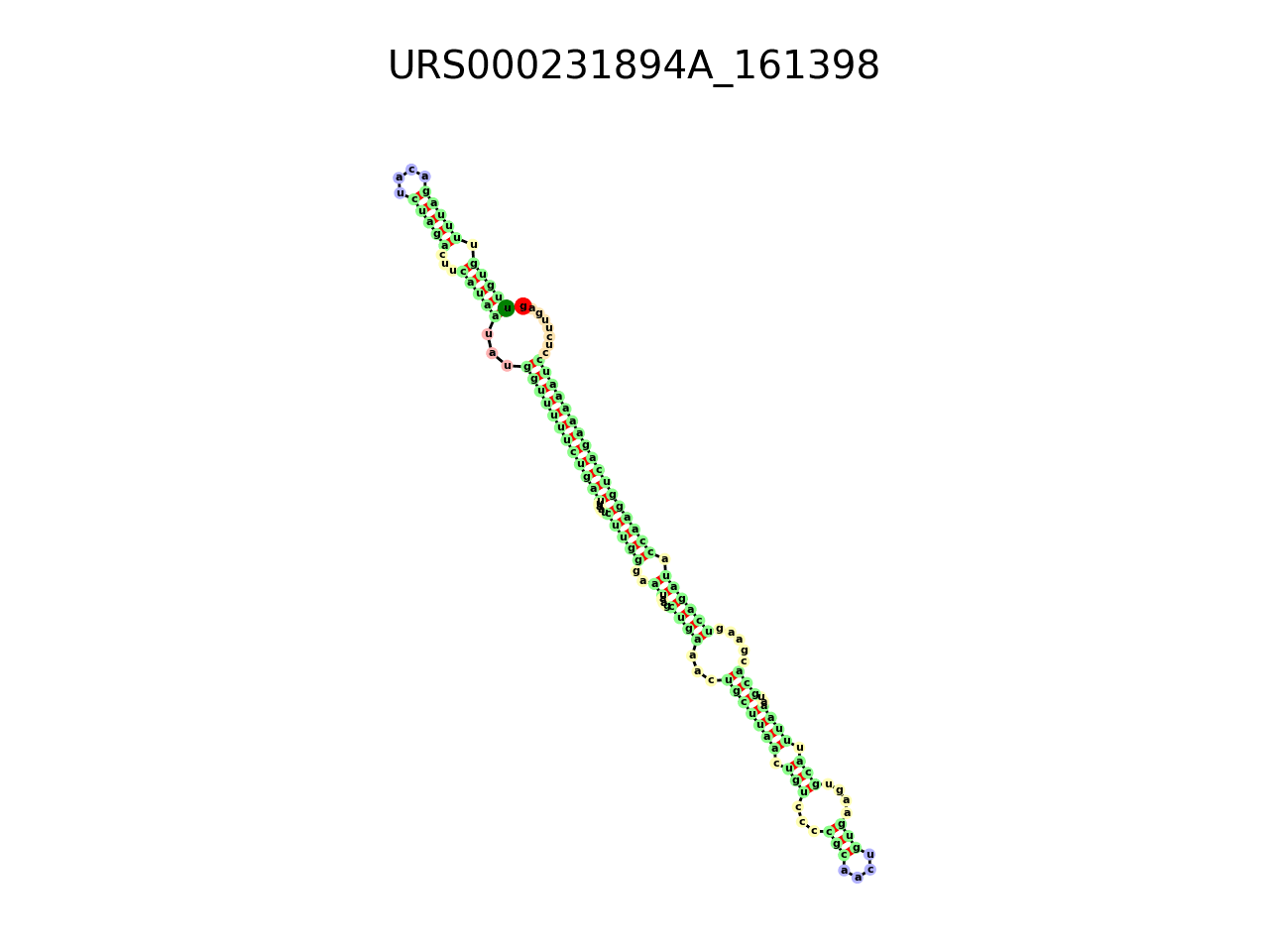 image of the secondary structure of the second Riboswitch match