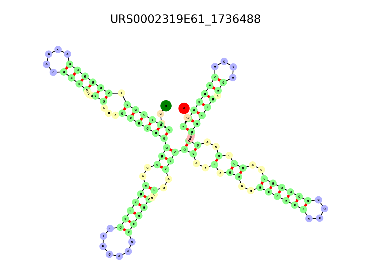 image of the secondary structure of the second Riboswitch match