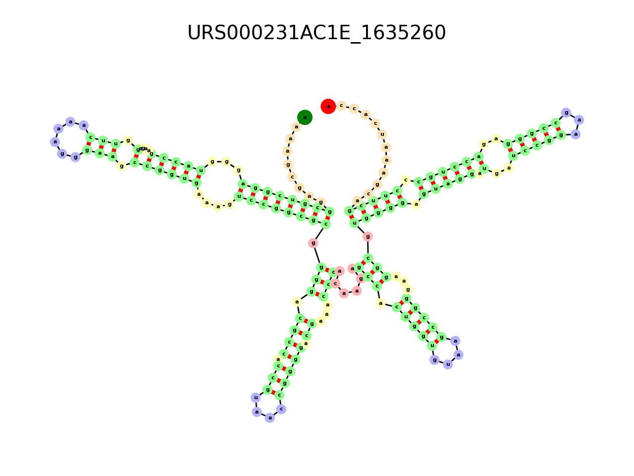 image of the secondary structure of the first Riboswitch match