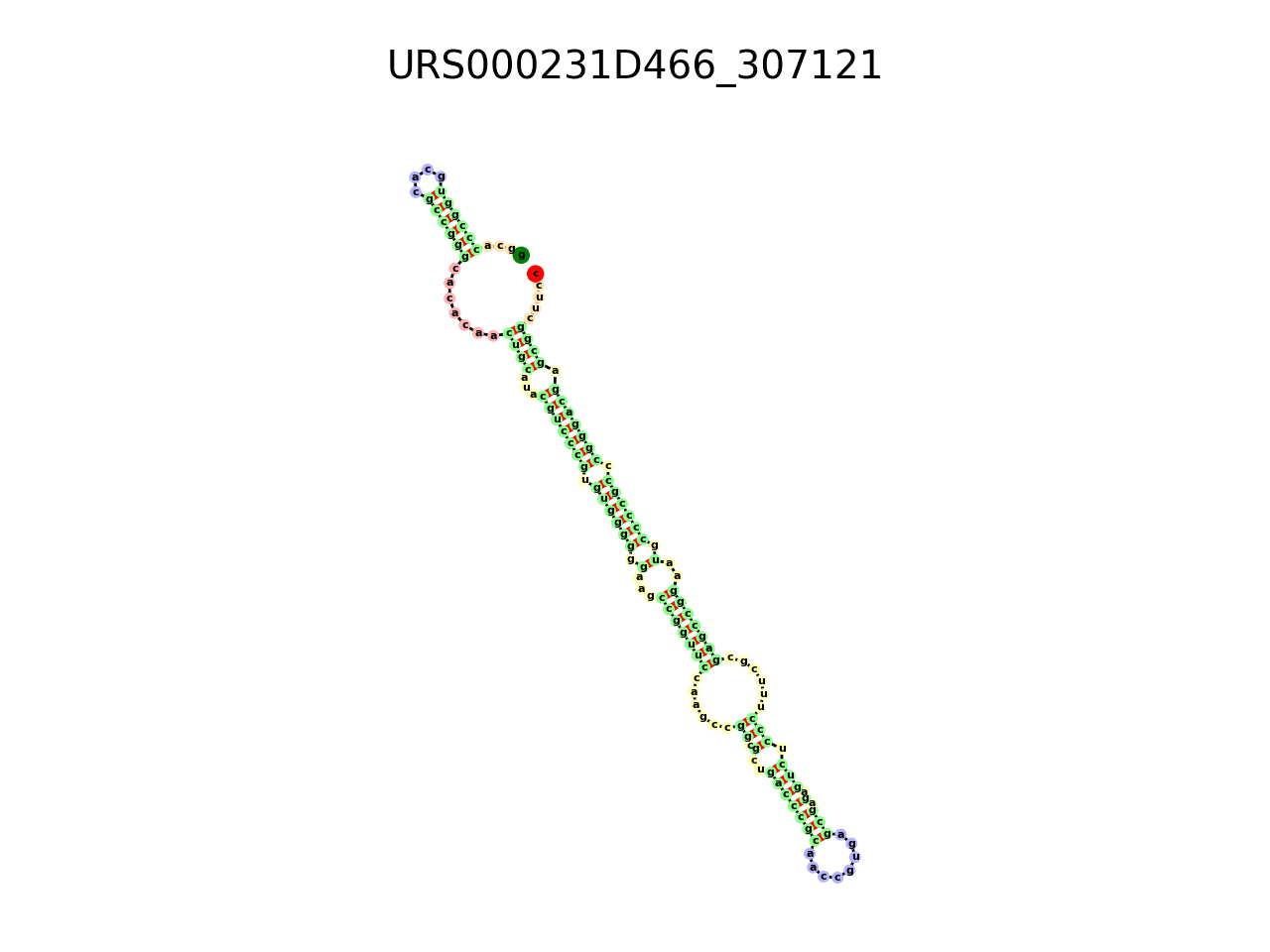 image of the secondary structure of the third Riboswitch match