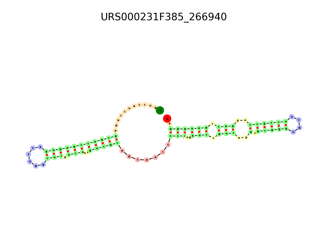 image of the secondary structure of the first Riboswitch match