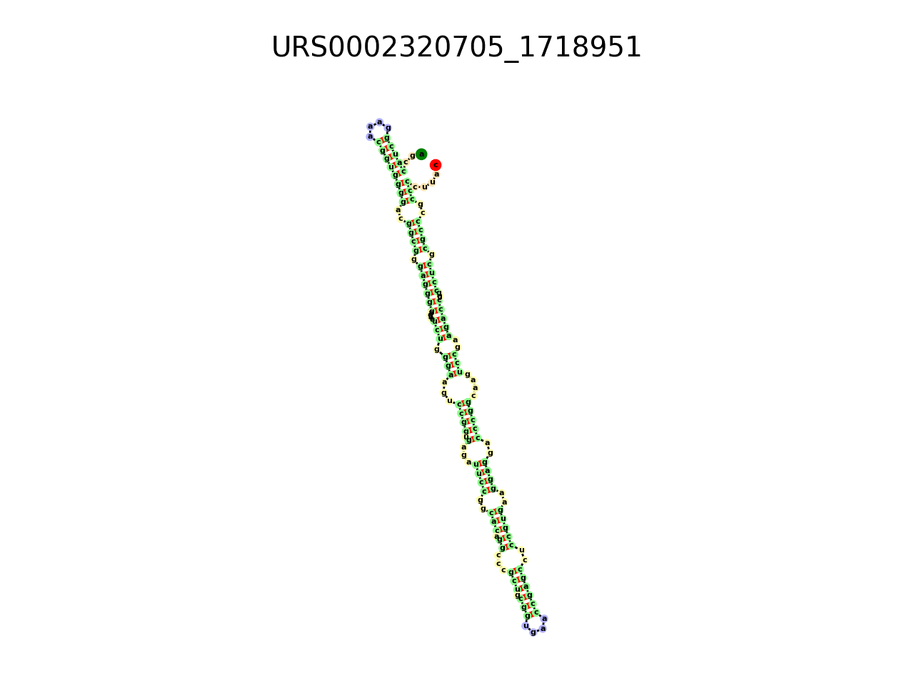 image of the secondary structure of the first Riboswitch match