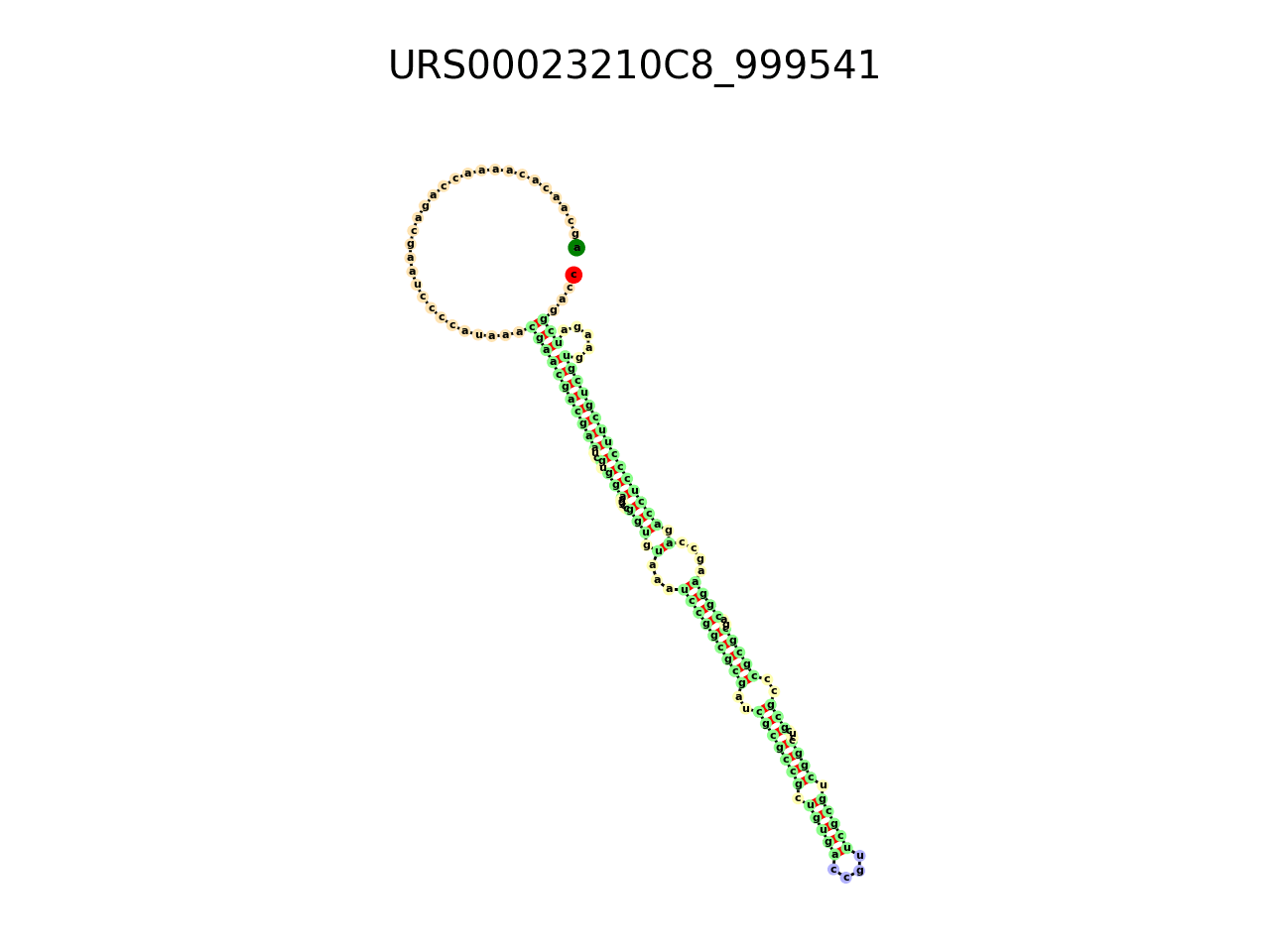 image of the secondary structure of the first Riboswitch match