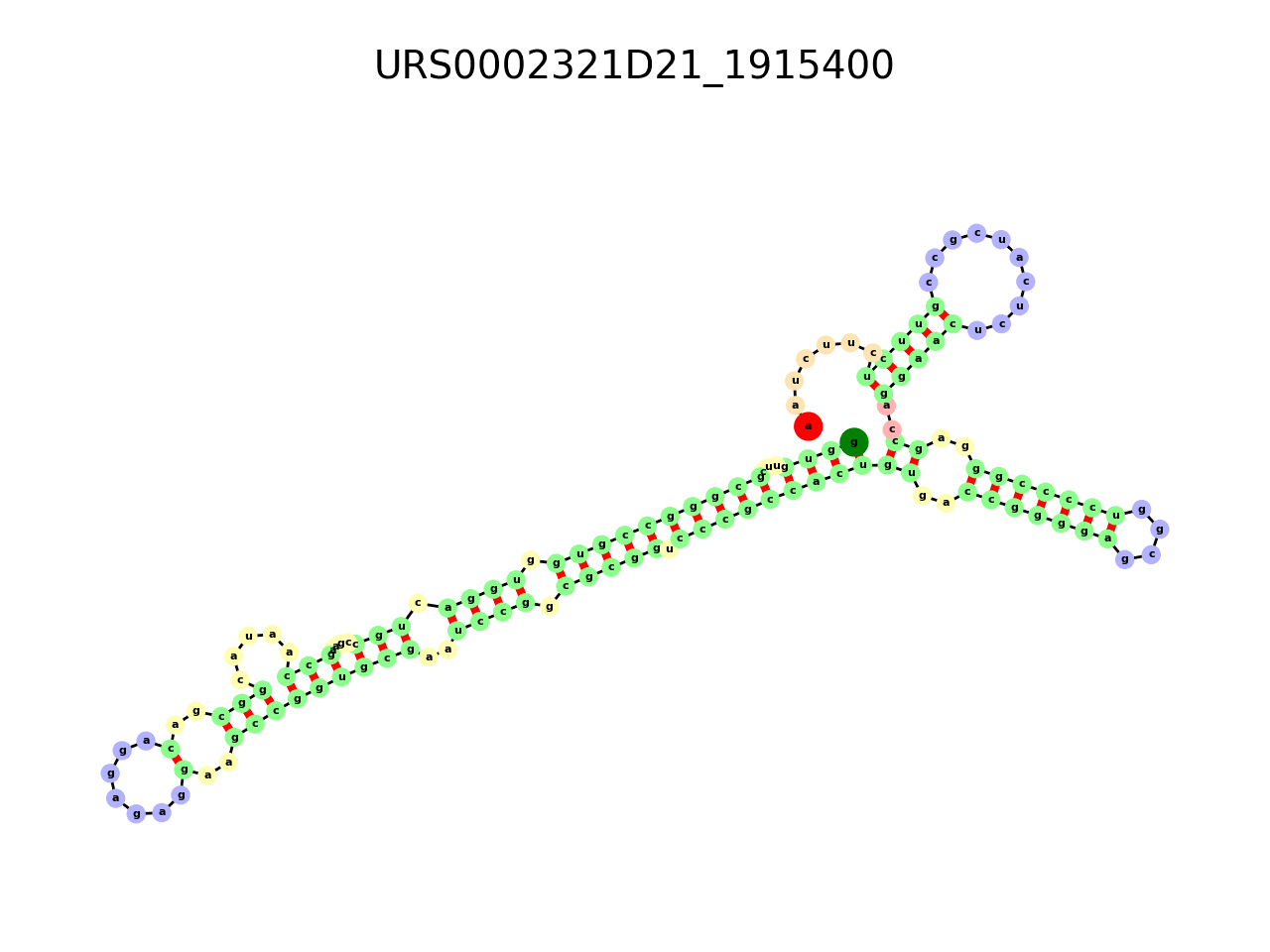image of the secondary structure of the first Riboswitch match
