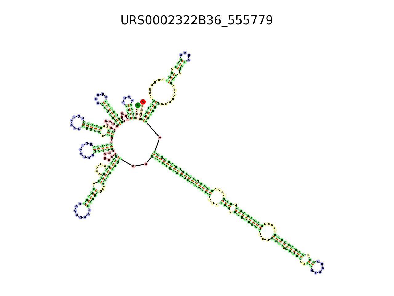 image of the secondary structure of the third Riboswitch match