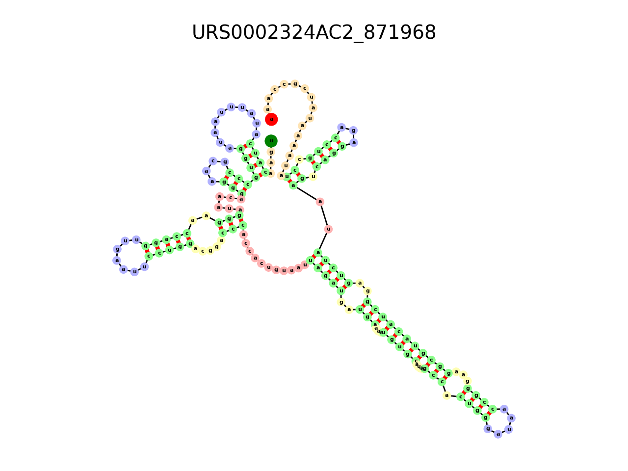image of the secondary structure of the first Riboswitch match