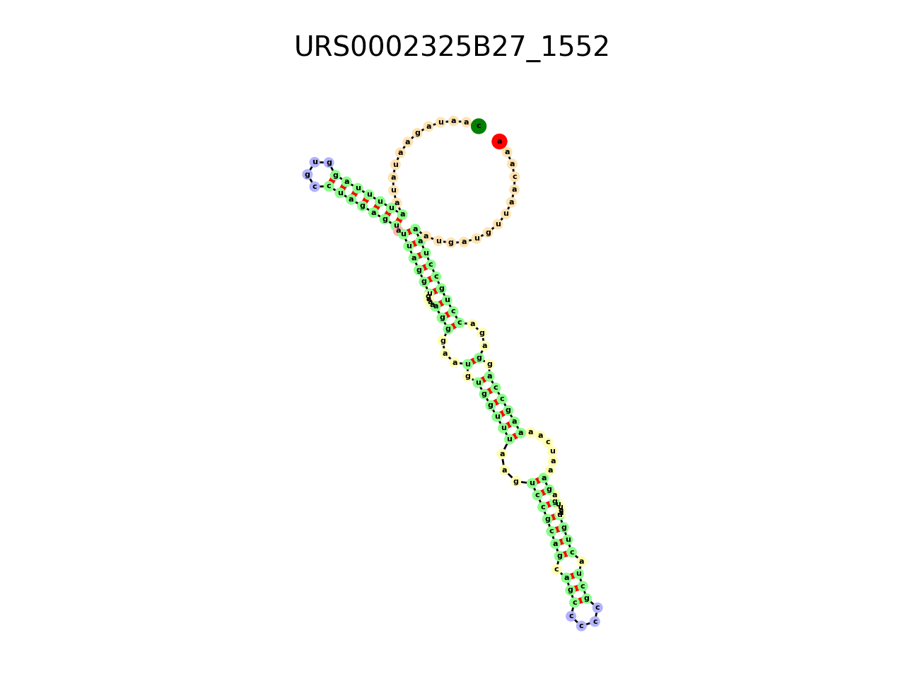 image of the secondary structure of the second Riboswitch match