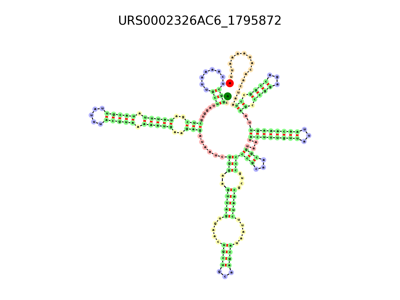 image of the secondary structure of the second Riboswitch match