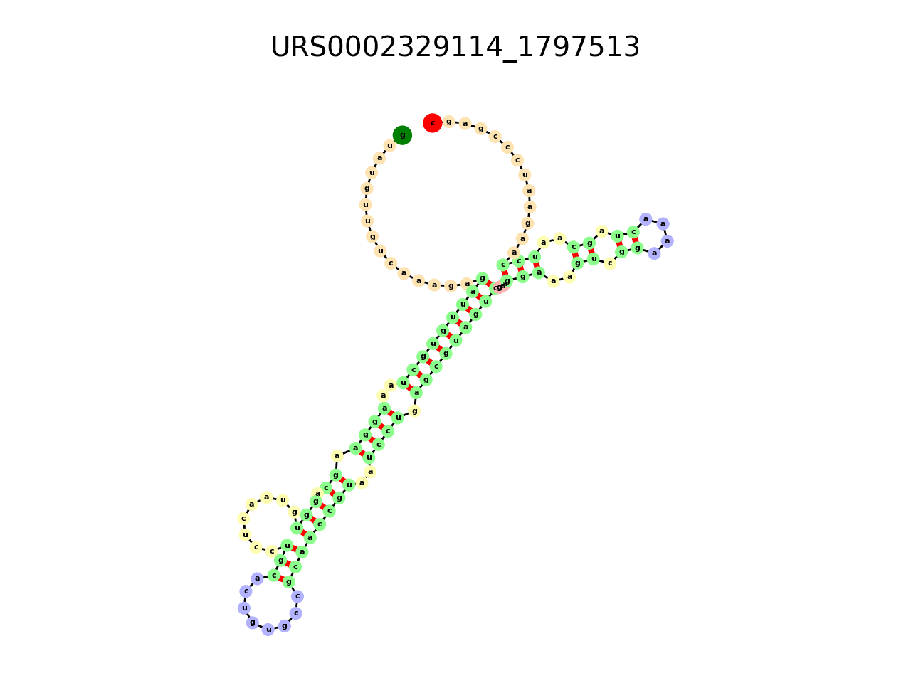 image of the secondary structure of the first Riboswitch match