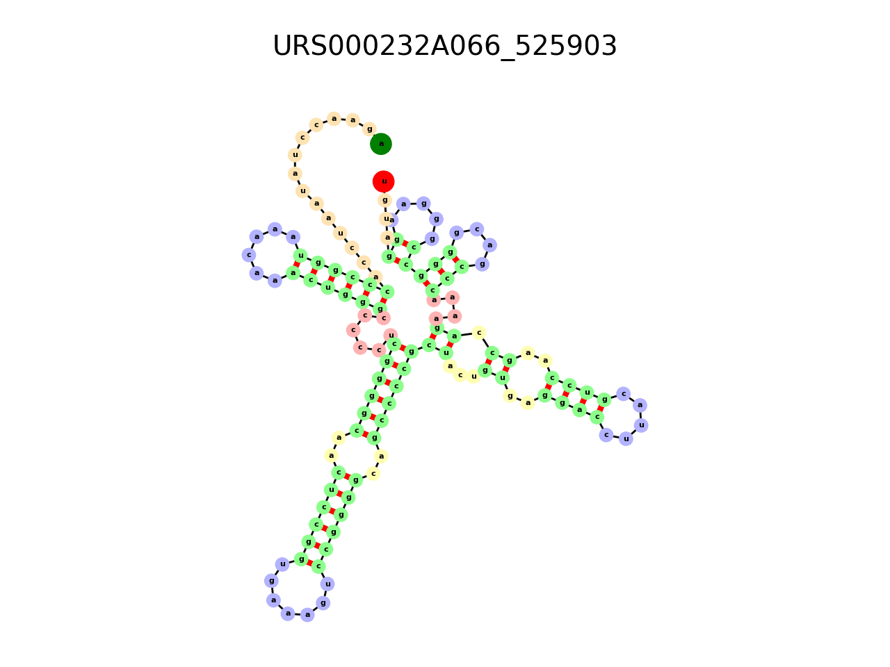 image of the secondary structure of the third Riboswitch match