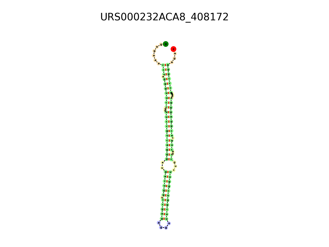 image of the secondary structure of the second Riboswitch match