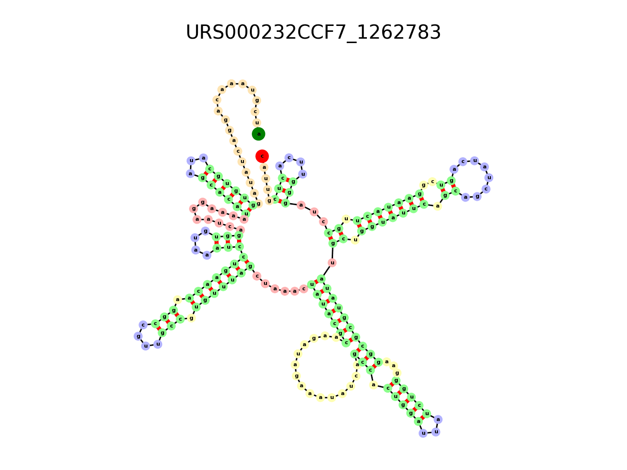 image of the secondary structure of the third Riboswitch match