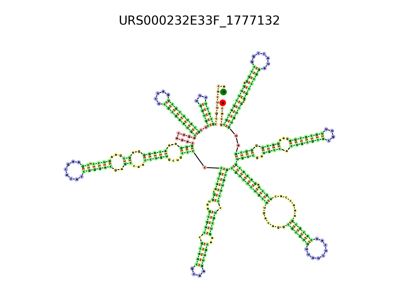 image of the secondary structure of the first Riboswitch match