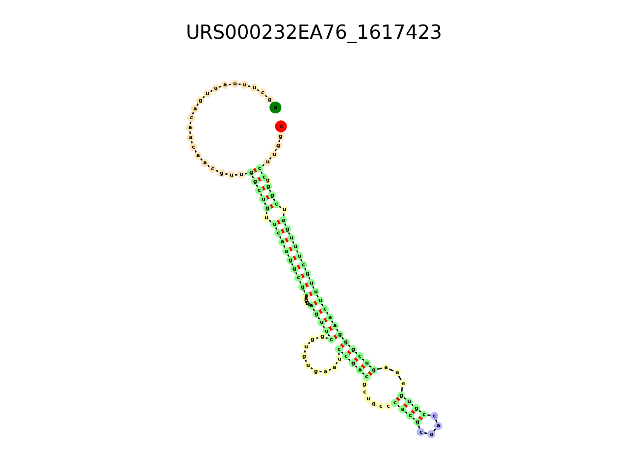 image of the secondary structure of the first Riboswitch match