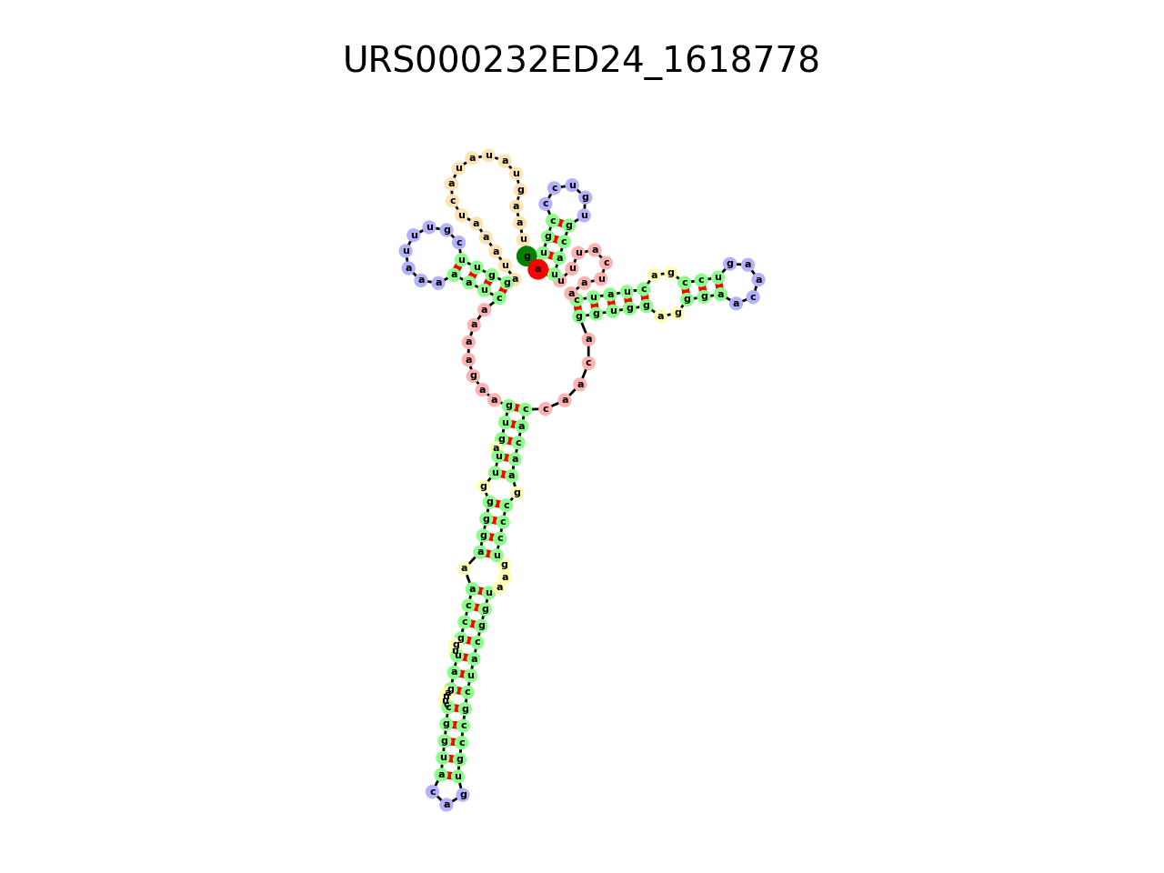 image of the secondary structure of the first Riboswitch match